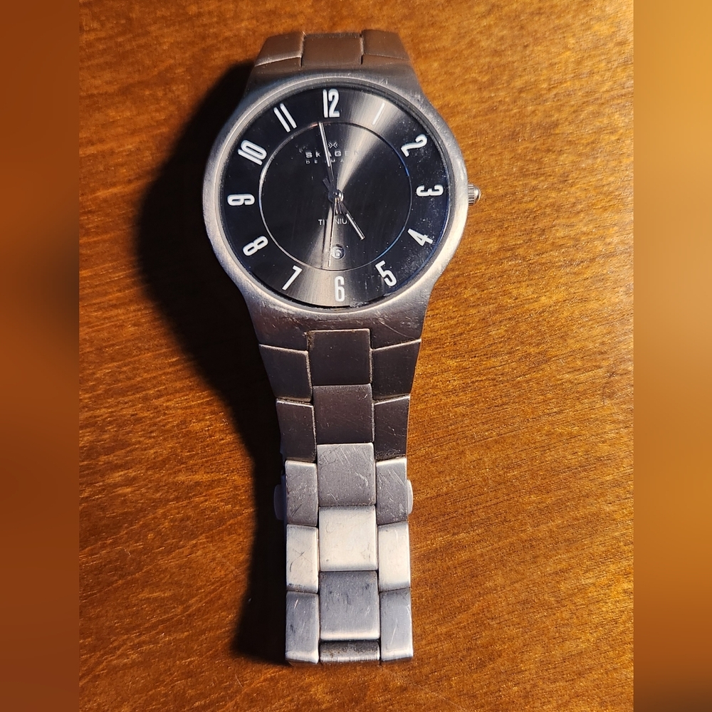 Skagen Silver and Black Watch
